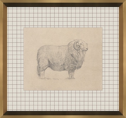 16 x 15 Ovine Impression V (GF)