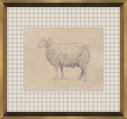 16 x 15 Ovine Impression VI (GF)