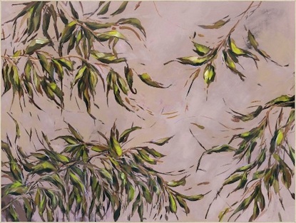 53 x 40 Palm Beach (HE-T)
