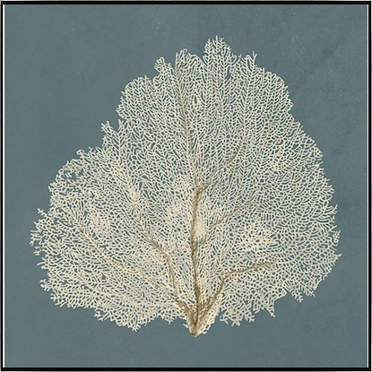 30 x 30 Beauty Under the Sea XI (IBG)