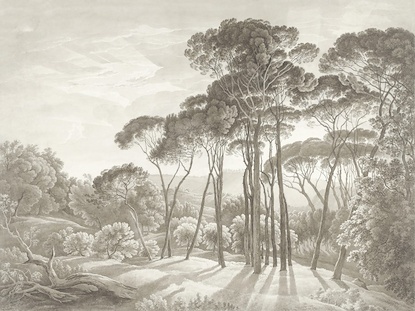 53 x 40 Forest Landscape a Setting Sun (LN)